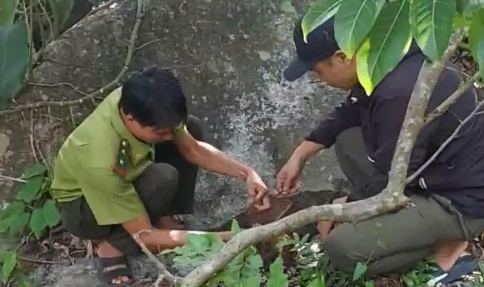 /SiteAssets/Lists/TinTucBaiViet/TinBaiChuaDuyet/Sequence%2001.Stilopl006.jpg