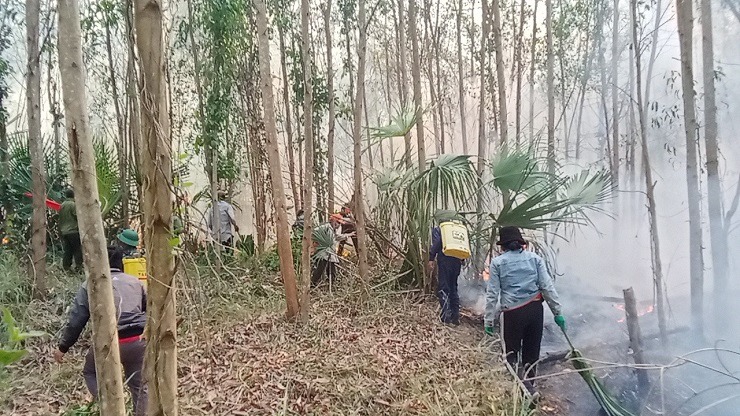 thực hành kĩ năng phối hợp phòng chống cháy rừng (1).jpg
