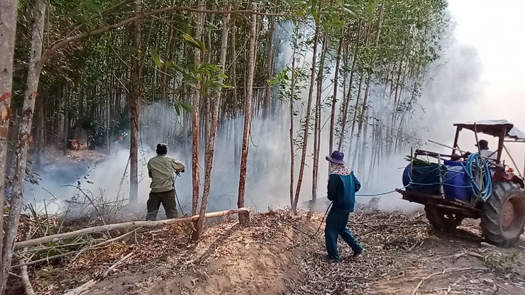 thực hành kĩ năng phối hợp phòng chống cháy rừng (4).jpg