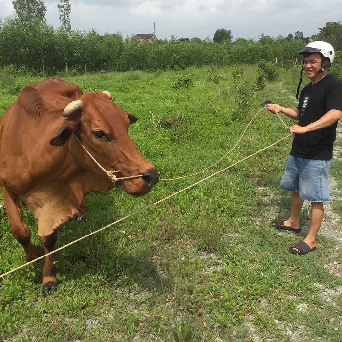 /SiteAssets/Lists/TinTucBaiViet/TinBaiChuaDuyet/z6646738620247_04970d574995dc94952c615b3e4850d7.jpg
